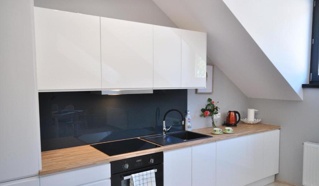 Apartament nad Kamienną Szklarska Poręba Zewnętrze zdjęcie