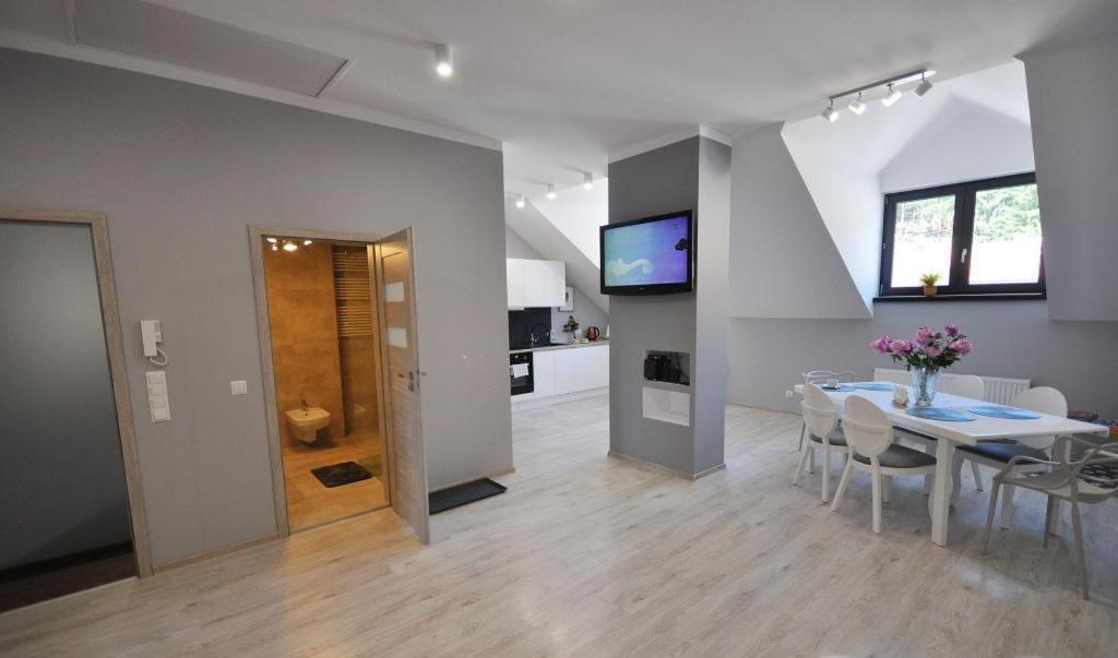 Apartament nad Kamienną Szklarska Poręba Zewnętrze zdjęcie