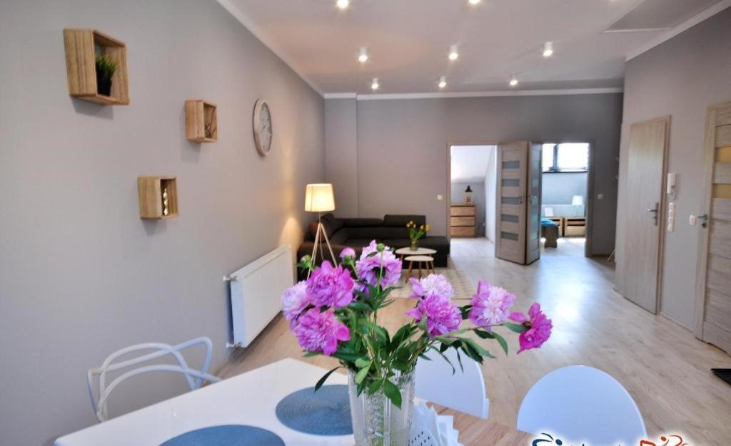Apartament nad Kamienną Szklarska Poręba Zewnętrze zdjęcie